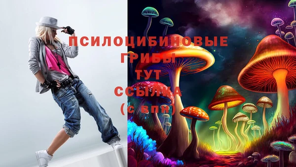 тгк Абинск