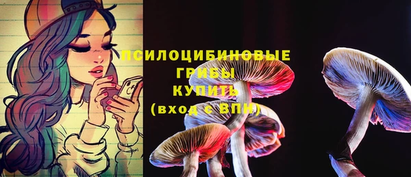 тгк Абинск