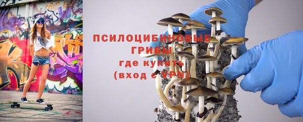 тгк Абинск